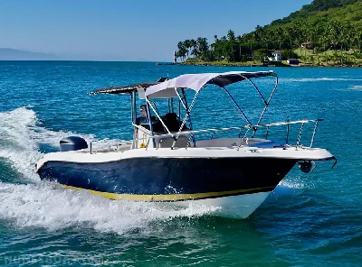 Clique para visualizar Fishing 265