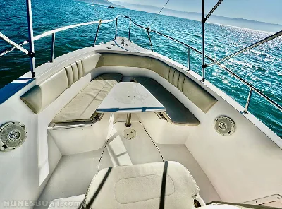 Clique para visualizar Fishing 265