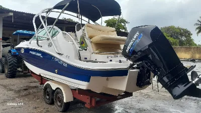 Phoenix 255 Platinum