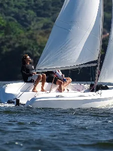 Clique para visualizar Flash 135