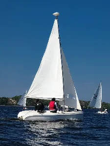 Clique para visualizar Flash 135