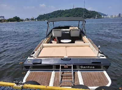 Panther 35