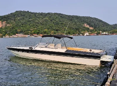 Panther 35