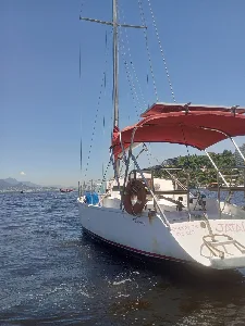 Opus 33