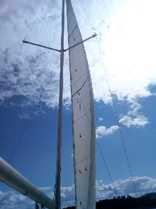 Clique para visualizar Microtonner 19