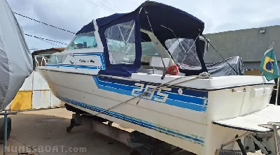 Clique para visualizar Carbrasmar 29