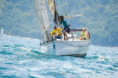 Clique para visualizar Tripp 33