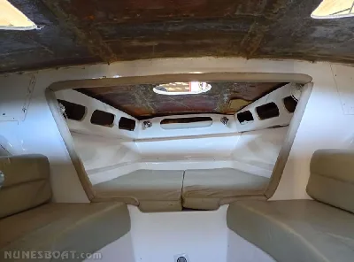 Clique para visualizar Magnum 39