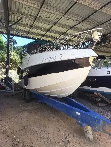 Clique para visualizar Coral 28