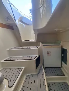 Clique para visualizar Coral 28