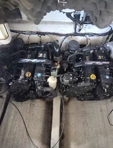 Clique para visualizar Coral 28