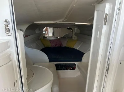 Scarab 38
