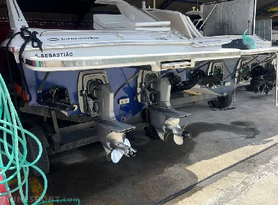 Scarab 38