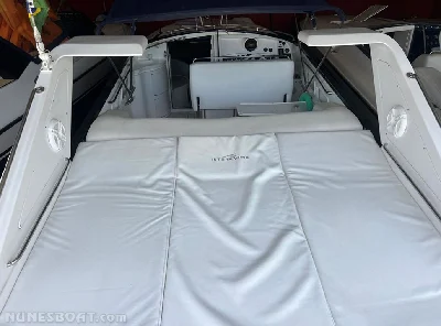 Scarab 38