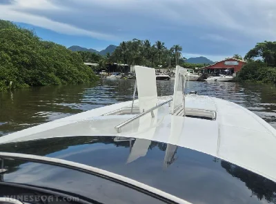 Scarab 38