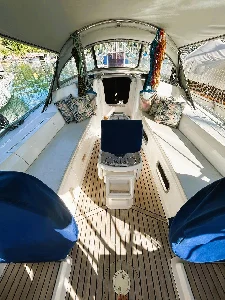 Delta 41