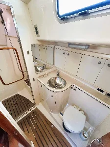 Delta 41