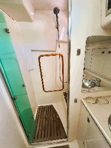 Delta 41
