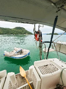 Delta 41