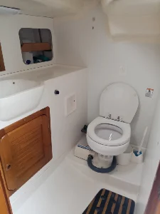 Delta 32