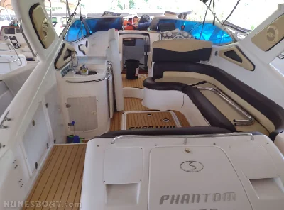 Phantom 290