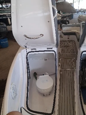 Coral 22