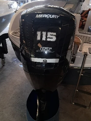 Coral 22