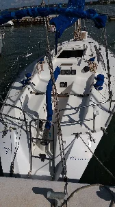 Velamar 31