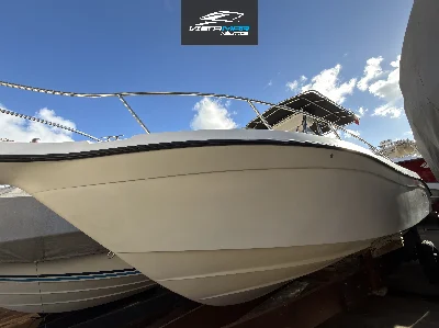 Fishing 265