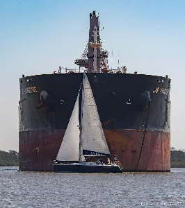 Delta 36
