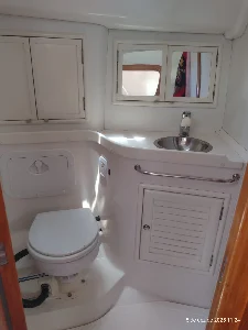 Delta 36