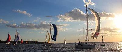 Delta 36