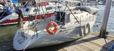 Delta 26