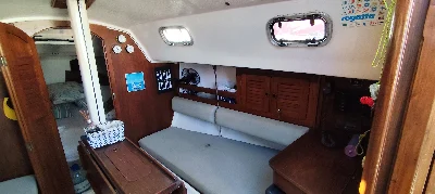 Delta 26