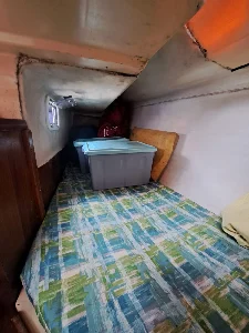 Delta 26