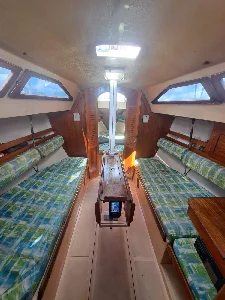 Delta 26