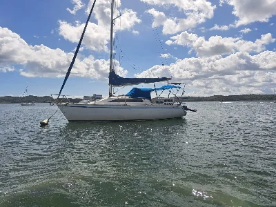 Delta 26