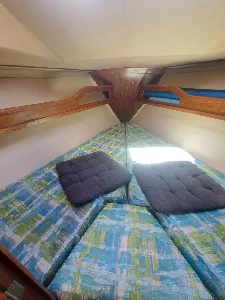 Delta 26
