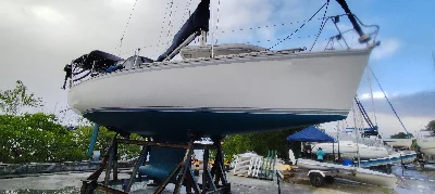 Delta 32