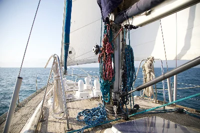 Centurion 49 - Wauquiez Yachts 
