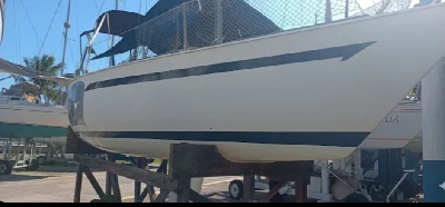 Ranger 22