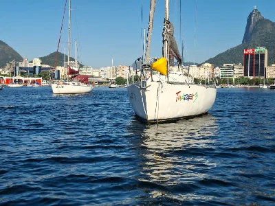 Clique para visualizar Schaefer 31