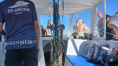 Clique para visualizar Trimarã Searunner 37