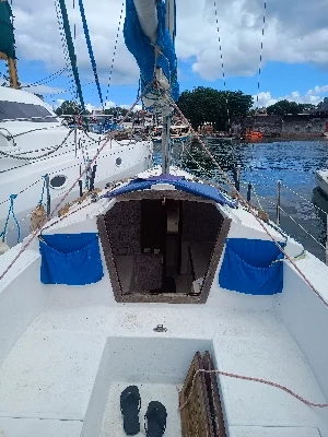 Clique para visualizar Cruiser 23