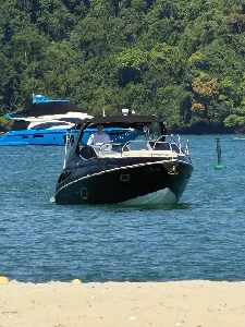 Arth 295