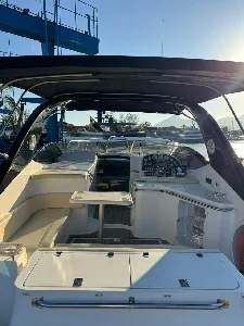 Arth 295
