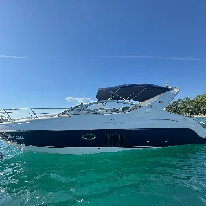 Phantom 290