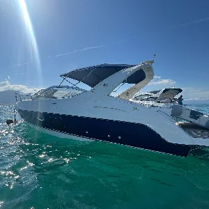 Phantom 290