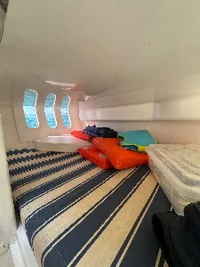 Phantom 290