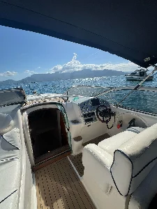 Phantom 290
